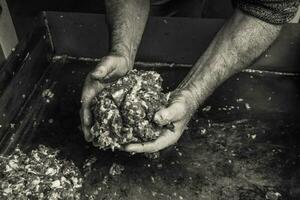 mãos cozinhar, picado carne, linguiça tradicional preparação, pampas, Argentina foto