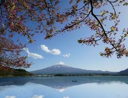 Visão do kawaguchiko lago com cereja flores e montar Fuji belas refletido dentro a água. foto