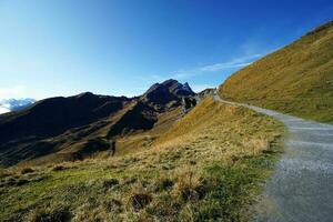 lindo Visão do natureza trilha dentro a manhã, Grindelwald primeiro, Altíssima picos eiger, Suíça Alpes. para caminhada, caminhada, montanhismo ou natureza andar Atividades. foto