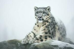 neve leopardo sentado. gerar ai foto