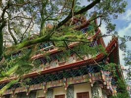 chinês têmpora em lantau ilha hong kong chinês. fotografado a partir de uma baixo ângulo com uma árvore para a esquerda. foto