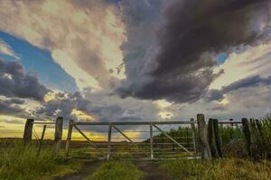 campo portão tormentoso com uma tormentoso céu dentro a fundo, la pampa província, Patagônia, Argentina. foto