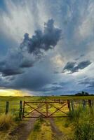 campo portão tormentoso com uma tormentoso céu dentro a fundo, la pampa província, Patagônia, Argentina. foto