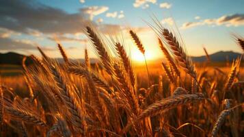 campo do trigo com a Sol configuração ai gerado foto