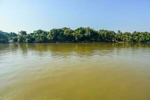 rio panorama e selva, pantanal, Brasil foto