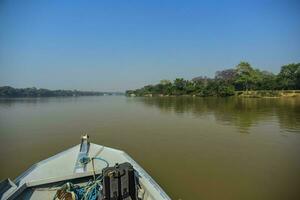 rio panorama e selva, pantanal, Brasil foto