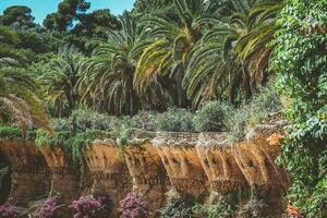 pássaro ninhos dentro parque guell, Barcelona foto