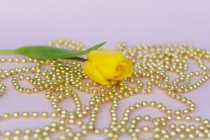 amarelo tulipa em uma Rosa fundo com uma espalhamento do ouro miçangas. Primavera flores dentro a interior. a conceito do Primavera ou feriado, marcha 8, internacional mulheres dia, foto