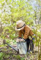 fofa pequeno criança pequena Garoto dentro uma chapéu e borracha chuteiras é rega plantas com uma rega pode dentro a jardim. uma encantador pequeno criança ajudando dele pais crescer legumes. foto