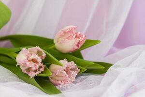 delicado ramalhete do Rosa tulipas fechar-se em uma Rosa fundo. Primavera humor. Primavera cumprimento cartão para mãe dia ou mulheres dia, dia dos namorados dia. foto