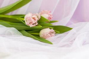 delicado ramalhete do Rosa tulipas fechar-se em uma Rosa fundo. Primavera humor. Primavera cumprimento cartão para mãe dia ou mulheres dia, dia dos namorados dia. foto
