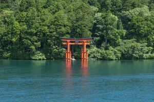 torii portão dentro japonês têmpora portão às hakone santuário perto lago Ashi às hakone cidade, Kanagawa prefeitura, Japão foto