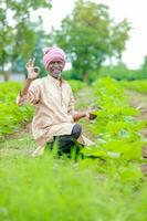 agricultor segurando uma algodão árvore dentro uma algodão campo, algodão árvore, segurando folha dentro Índia foto