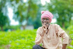 agricultor segurando uma algodão árvore dentro uma algodão campo, algodão árvore, segurando folha dentro Índia foto