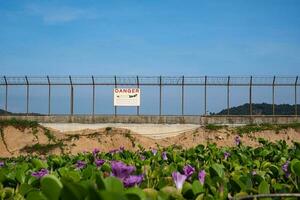 campo do flores ao lado a parede com uma placa para Assistir Fora para aviões contra a pano de fundo do a azul céu foto