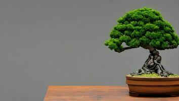 verde bonsai árvore em mesa foto