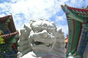a chinês leão estátuas. foto