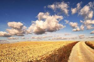 paisagem da zona rural da Toscana foto