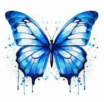 azul borboleta isolado foto