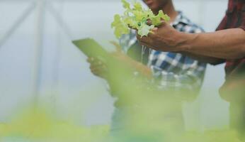 ásia mulher agricultor usando digital tábua dentro vegetal jardim às estufa, o negócio agricultura tecnologia conceito, qualidade inteligente agricultor. foto