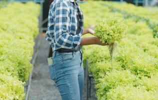 ásia mulher agricultor usando digital tábua dentro vegetal jardim às estufa, o negócio agricultura tecnologia conceito, qualidade inteligente agricultor. foto