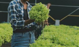 ásia mulher agricultor usando digital tábua dentro vegetal jardim às estufa, o negócio agricultura tecnologia conceito, qualidade inteligente agricultor. foto