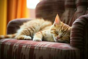 fofa gato dormindo ou em repouso em a sofá às lar. preguiçoso gato dormindo em a sofá. gato dia conceito de ai gerado foto