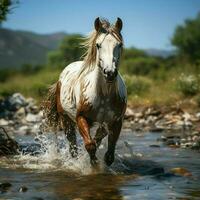 uma selvagem cavalo corrida dentro a Riacho. selvagem ou Fazenda animais conceito de ai gerado foto