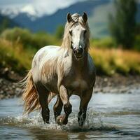 uma selvagem cavalo corrida dentro a Riacho. selvagem ou Fazenda animais conceito de ai gerado foto