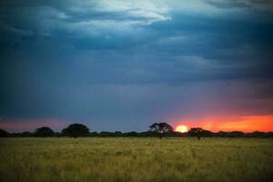 uma pôr do sol sobre uma campo com uma moinho de vento dentro a fundo foto