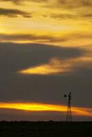 uma moinho de vento dentro uma campo com uma nublado céu foto