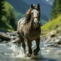 uma selvagem cavalo corrida dentro a Riacho. selvagem ou Fazenda animais conceito de ai gerado foto