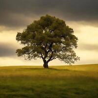 livre solitário árvore. ai gerado foto