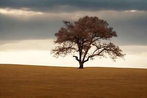 livre solitário árvore. ai gerado foto