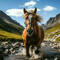 uma selvagem cavalo corrida dentro a Riacho. selvagem ou Fazenda animais conceito de ai gerado foto