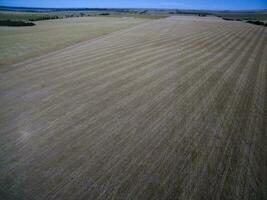 cultivado terra, aéreo visualizar, la pampa, Argentina foto