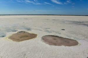 sal campo dentro Dunaliella salina, Argentina foto