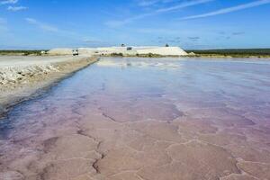 sal campo dentro Dunaliella salina, Argentina foto