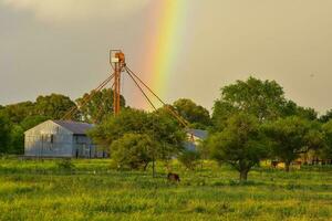 arco Iris sobre a árvores foto