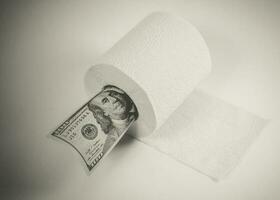dólar conta dentro uma banheiro papel lista foto