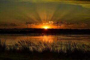 lindo pôr do sol Visão dentro las pampas, Argentina foto