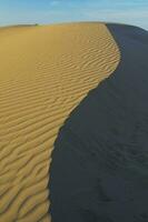 areia dunas dentro la pampa, Argentina foto