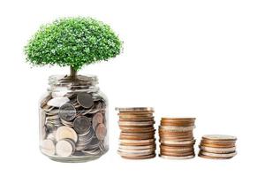 árvore em economizar dinheiro moedas na mão, conceito de investimento de finanças empresariais. foto