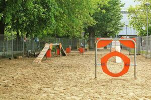 animal Treinamento parque andar arenoso área. caminhando canino jogar dentro exercício e comando. especial equipado zona dentro comunidade coaching. cachorro Parque infantil dentro a cidade. ativo agilidade animal estilo de vida conceito foto