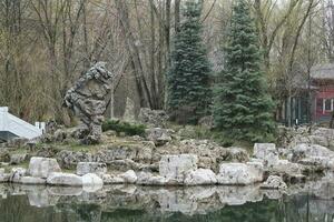 chinês tradicional pedra jardim. verde plantas e pedras dentro oriental floresta. decorativo arbusto para paisagismo dentro ásia estilo. zen jardim com Relva e seixos. mármore jardim ornamental pedra foto