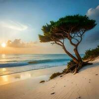 exótico árvore em a de praia do socotra ilha, generativo ai pró foto