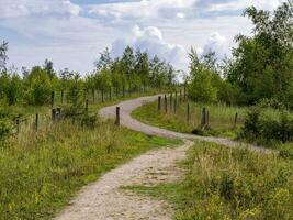 caminhando trilha dentro Fairburn ings natureza reserva, oeste yorkshire, Inglaterra foto