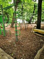 Parque infantil dentro a parque com uma muitos do verde árvores e bancos foto