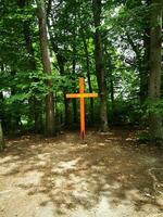 Cruz dentro a floresta. conceptual imagem para fé, espiritualidade e religião. foto