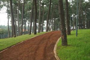 parques da cidade com passeio no início da manhã foto